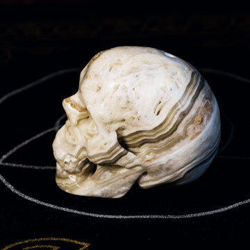 Zebra Calcite Skull